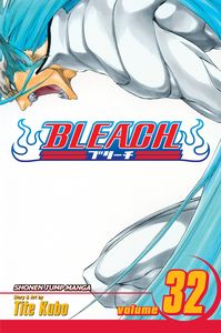 [Bleach: Volume 32 (Product Image)]