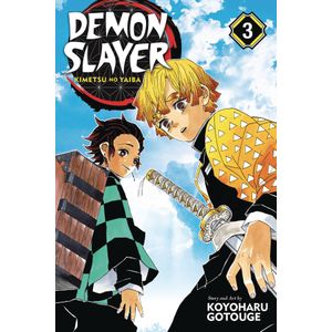 [Demon Slayer: Kimetsu No Yaiba: Volume 3 (Product Image)]