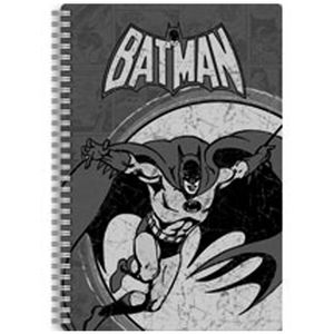 [Batman: Journal (Product Image)]