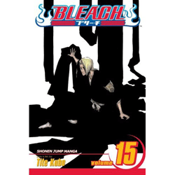 [Bleach: Volume 15   (Product Image)]