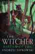 [The cover for The Witcher: Book 3: Baptism Of Fire: Collector's Edition (Hardcover)]