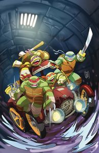 [Teenage Mutant Ninja Turtles: The Armageddon Game: Opening Moves #1 (Cover A Peniche) (Product Image)]