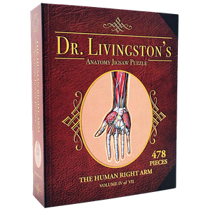 [Dr. Livingston's: Anatomy Jigsaw Puzzle: Volume IV: The Human Right Arm (Product Image)]