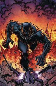 [Rise Of Black Panther #6 (Adams Variant) (Product Image)]