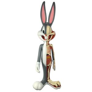 [Looney Tunes: Wabbit: Anatomical Medium Figure (Product Image)]
