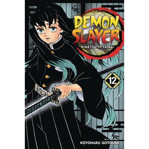 [Demon Slayer: Kimetsu No Yaiba: Volume 12 (Product Image)]