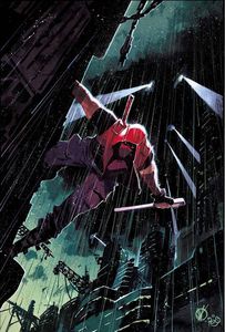 [Red Hood: Outlaw #31 (Variant Edition) (Product Image)]
