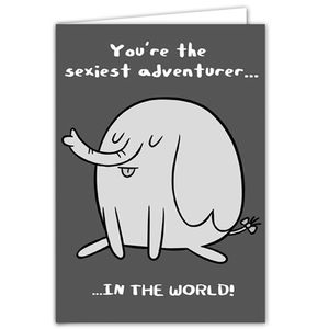 [Adventure Time: Greetings Card: Treetrunks Sexiest Adventurer (Product Image)]