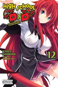 [High School DXD: Volume 12 (Light Novel) (Product Image)]