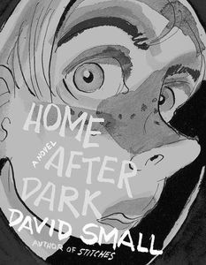[Home After Dark: A Novel (Hardcover) (Product Image)]