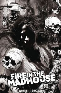 [Fire In The Madhouse #2 (Cover B Hernan Gonzalez) (Product Image)]