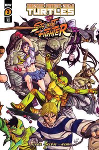 [Teenage Mutant Ninja Turtles Vs. Street Fighter #3 (Cover D Federici Variant) (Product Image)]