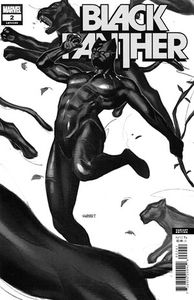 [Black Panther #2 (Sway Variant) (Product Image)]