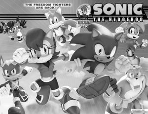 [Sonic The Hedgehog #257 (Product Image)]