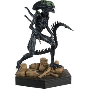 [Alien & Predator: 1/16 Scale Figure #3 Grid Xenomorph (Product Image)]