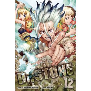 [Dr Stone: Volume 12 (Product Image)]