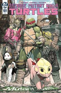 [Teenage Mutant Ninja Turtles: Ongoing #101 (Weaver Variant) (Product Image)]