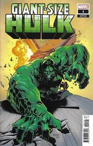 [Giant-Size Hulk #1 (Mahmud Asrar Variant) (Product Image)]