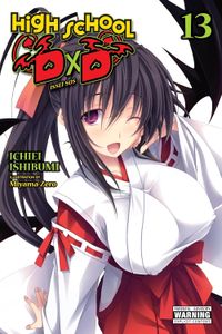 [High School DXD: Volume 13 (Product Image)]
