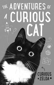 [The Adventures Of A Curious Cat  (Product Image)]