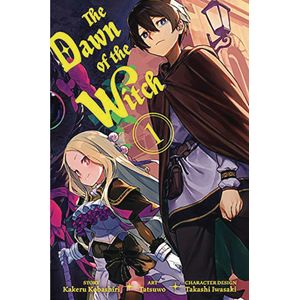 [The Dawn Of The Witch: Volume 1 (Light Novel) (Product Image)]