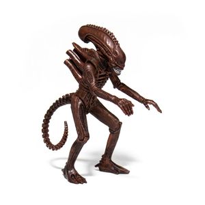 [Aliens: ReAction Figure: Wave 1: Alien Warrior Dusk Brown (Product Image)]