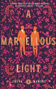 [A Marvellous Light (Hardcover) (Product Image)]