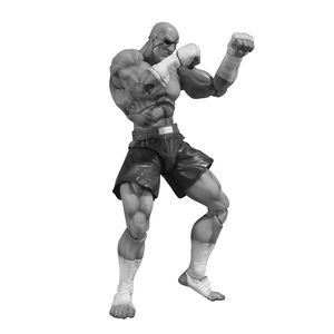 [Streetfighter: SH Figuarts Action Figure: Sagat (Product Image)]