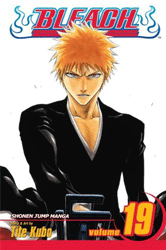 [Bleach: Volume 19 (Product Image)]