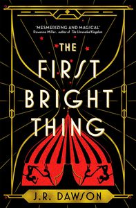 [The First Bright Thing (Hardcover) (Product Image)]