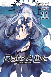 [Date A Live: Volume 11 (Light Novel) (Product Image)]