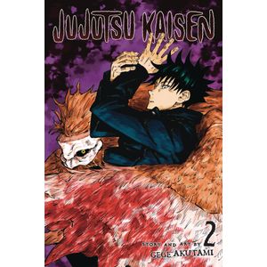 [Jujutsu Kaisen: Volume 2 (Product Image)]