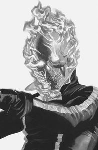 [Avengers #36 (Alex Ross Ghost Rider Timeless Variant) (Product Image)]