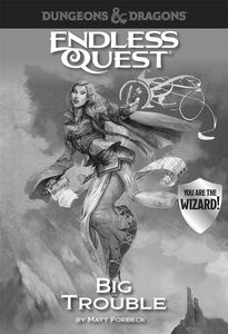 [Dungeons & Dragons: Endless Quest: Big Trouble (Hardcover) (Product Image)]