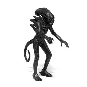 [Aliens: ReAction Figure: Wave 1: Alien Warrior Midnight Black  (Product Image)]