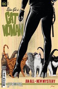 [Catwoman #61 (Cover F Jorge Fornes Card Stock Variant) (Product Image)]