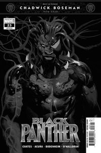 [Black Panther #23 (Product Image)]