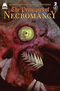 [The Principles Of Necromancy #2 (Cover B Heidersdorf) (Product Image)]