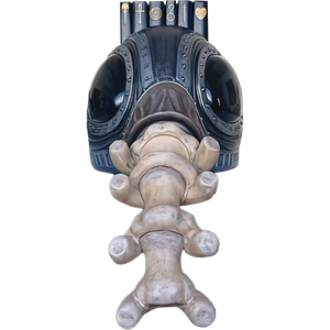 [The Sandman: Morpheus Helm Masterpiece Edition (Hardcover) (Product Image)]