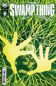 [Swamp Thing #13 (Cover A Perkins) (Product Image)]