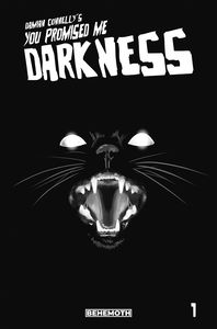 [You Promised Me Darkness #1 (3rd Printing) (Product Image)]