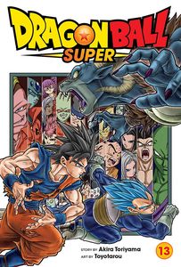 [Dragon Ball Super: Volume 13 (Product Image)]