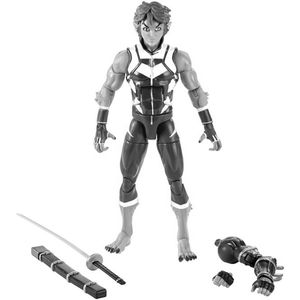 [DC Multiverse: Action Figure: Beast Boy (Product Image)]