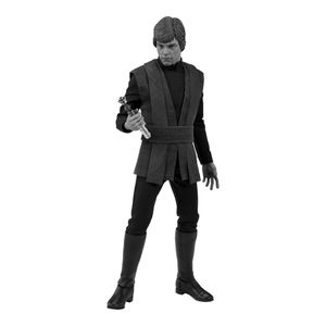 [Star Wars: Return Of The Jedi: Deluxe Action Figure: Luke Skywalker (Product Image)]