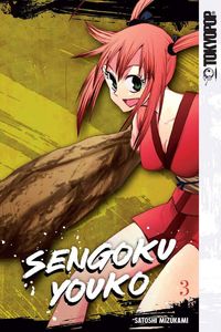 [Sengoku Youko: Volume 3 (Product Image)]