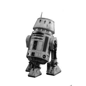 [Star Wars: Premium Format Figure: R5-D4 (Product Image)]