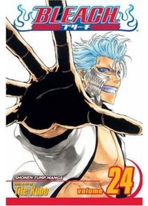 [Bleach: Volume 24  (Product Image)]