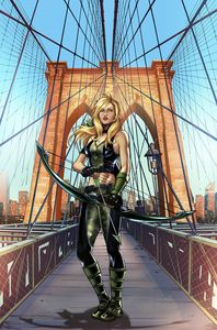 [Grimm Fairy Tales: Robyn Hood: I Love NY #8 (Cover A Riveiro) (Product Image)]