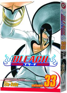 [Bleach: Volume 33 (Product Image)]
