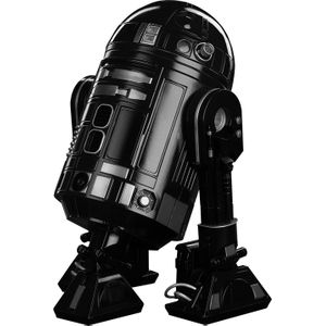[Star Wars: Deluxe Action Figure: R2-Q5 (Product Image)]